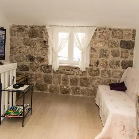 Apartment Roko House